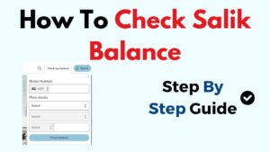 Salik Balance Check